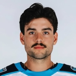Frank Djurasevic, Toronto Marlies